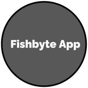 fishbyte placeholder